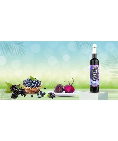  VITA ORGANICA Vita Organica Vital Concentrate 500 ml - Organic Wellness Drink with Cold Pressed Super Fruits - Grapes Blackcurrant Chokeberry Beetroot and Turmeric - Vegan Gluten Free No Added Sugar - Buy Online on GoSupps.com