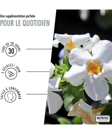 Bacopa - 60 Capsules - Vegan - NUTRIVIE - Made in France - Buy Online on GoSupps.com