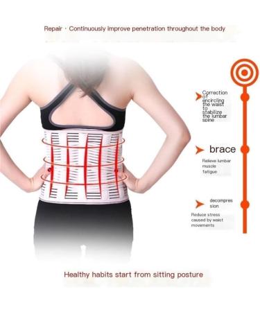 Back Brace Lumbar Support Lower Back Brace Double Pull Back Support Belt Breathable Posture Corrector Adjustable Waist Belt(Pink Large) Large Pink - Buy Online on GoSupps.com