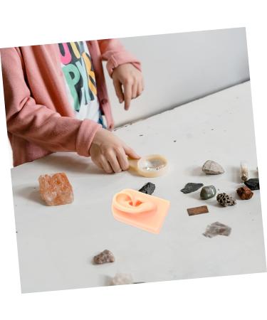 VILLFUL Khaki Silicone Ear Model for Jewelry Display and Earrings Piercing - Buy Online on GoSupps.com