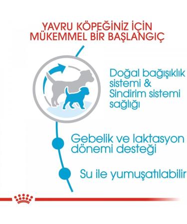 Royal Canin Mini Starter Mother & Babydog 4kg - Buy Online on GoSupps.com