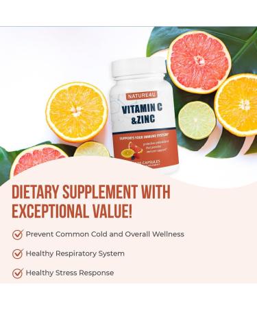 Vitamin C 1000mg with Zinc Rose HIPS and Citrus Bioflavonoids Immune Support Supplement Antioxidants Protection 120 Capsules 120 Count (Pack of 1) - Buy Online on GoSupps.com