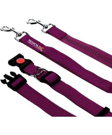 Regatta Jogging Dog Lead - Black, One Size - Buy Online on GoSupps.com