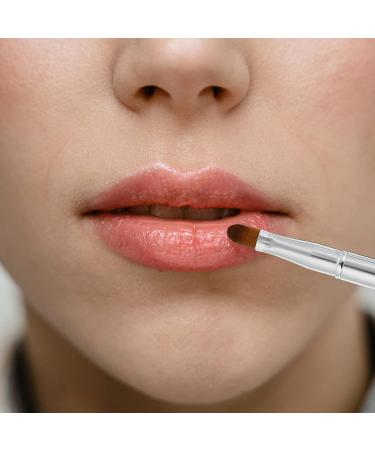 FOMIYES Pro Tools Makeup Lip Disposable Lip Applicator Silicone Brush Retractable Eyeliner Chap Sticks for Your Lips in Bulk Mini Lip Gloss Portable Cosmetic Travel - Buy Online on GoSupps.com