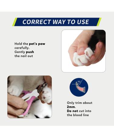 Professional Wepet Claw Scissors for Pets Safe & Spicy #06 White/Thulian Pink for Cats Dogs Kittens & Small Animals - Buy Online on GoSupps.com