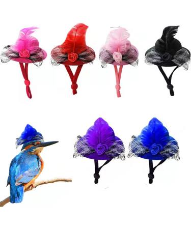 Elastic Chicken Hats for Hens - Set of 6 Funny Accessories for Rooster, Duck, Parrot - Stylish Poultry Costume - Buy Online on GoSupps.com