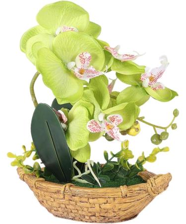 TOPBATHY 3pcs Rn Gift Phalaenopsis Home Accents Decor The Gift Home Forniture Decor Artificial Flower Bonsai Decor for Home Office Decor Garden Simulated Plant Double Fork Fake Orchid Greenx3pcs 27*17.5cmx3pcs - Buy Online on GoSupps.com