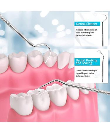 Stylenbest 4-Part Portable Stainless Steel Tooth Holder Set | Tartar Remover & Mouth Care Kit for Camping | Yellow Leather Case - Buy Online on GoSupps.com