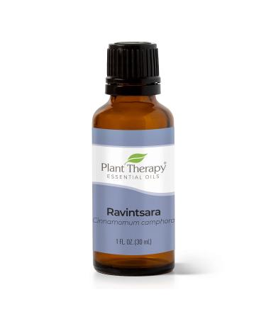 Plant Therapy Ravintsara Essential Oil 30 mL (1 oz) 100% Pure Undiluted Therapeutic Grade