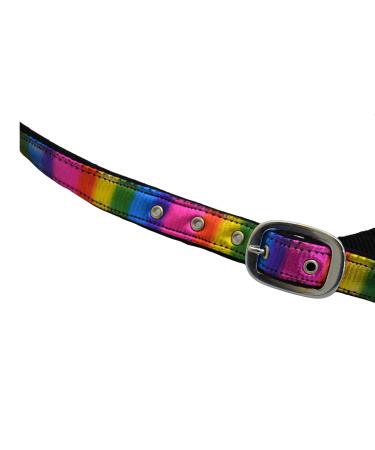 Shop Rainbow Cloth Lined Halters for Horses - Adjustable Multi-Colored Halters for Ponies & Thoroughbreds - Buy Online on GoSupps.com