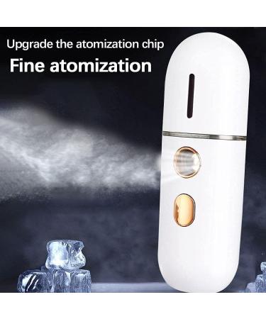 Lanyazet Portable Facial Steamer Mini USB Facial Humidifier Nano Facial Sprayer Steamer Mist Spray Machine - Buy Online on GoSupps.com