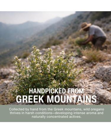 Vegan Wild Oregano Oil Capsules Organic 86-90% Carvacrol - 10000 mg Oil of Oregano per Softgel - Immune and Digestive Support Natural Antioxidant Vegan Non GMO 120 Capsules 120 Count (Pack of 1) - Buy Online on GoSupps.com