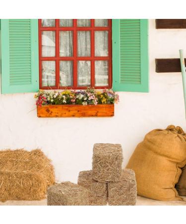 ABOOFAN 12Pcs Mini Hay Bale Decoration Straw Bale Ornament - Small Nativity Stable Dollhouse Miniature Haystack - Buy Online on GoSupps.com