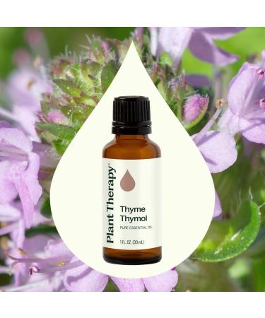 Plant Therapy Thyme Thymol Essential Oil 30 mL (1 oz) 100% Pure Undiluted Natural Aromatherapy for Immune Support and Digestive Relief - Buy Online on GoSupps.com