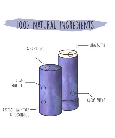 We Love the Planet Lip Balm Velvet Daily - Nourishing Eco-Friendly Lip Care 4.9g | International Shipping Available - Buy Online on GoSupps.com