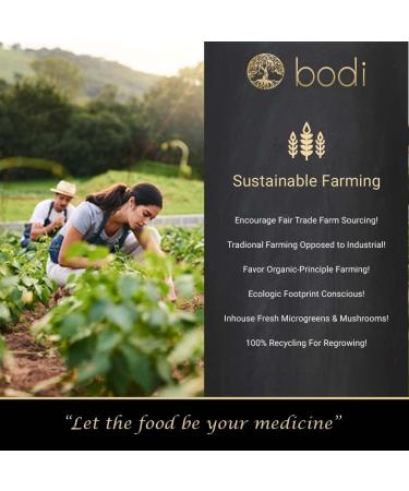 Bodi Bromelain 100gdu Pineapple Extract Powder | Pure Natural Chemical-Free | 4oz Size - Buy Online on GoSupps.com