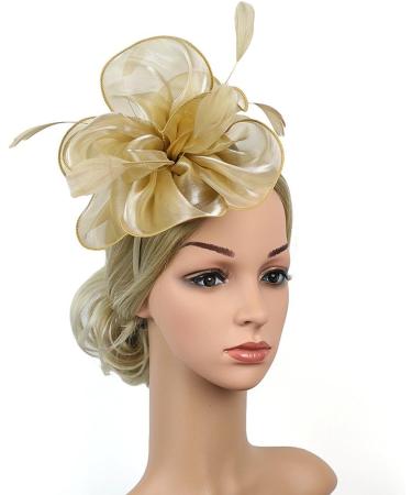 FRCOLOR Fascinator Feather Headband / Clip Party Wedding Royal Ascot Races Hair Accessories Headdress (Golden) - Buy Online on GoSupps.com