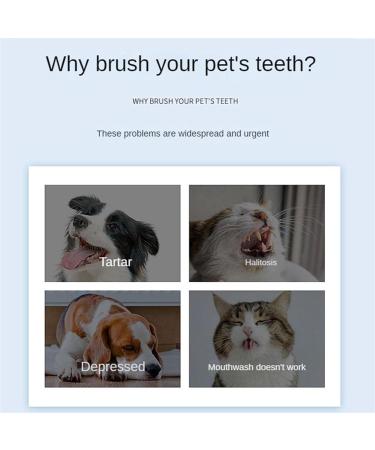 Zentric Dog Toothbrush Flexibrush Pet Toothbrush with Tongue Scraper 360 Pet Toothbrush Dual Head Soft Silicone Tongue Cleaner for Pet Cat Tooth Brushing Fresh Oral Dental Care (Brush*2) - Buy Online on GoSupps.com