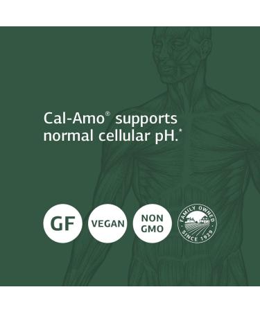 Standard Process Cal-Amo - pH and Lung Support Supplement - 90 Tablets - Buy Online on GoSupps.com