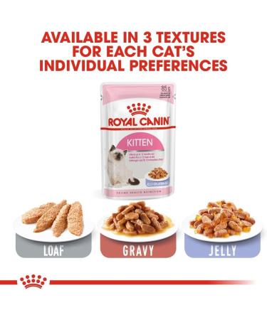 Royal Canin Kitten in JELLY Wet Adult Cat Food (24 x 85g) - Buy Online on GoSupps.com