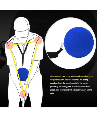 AMY Sport Golf Swing Training Aid Arm Band Trainer with Impact Ball - 4 Pack Set for Men and Women Beginners - Blue - Buy Online on GoSupps.com