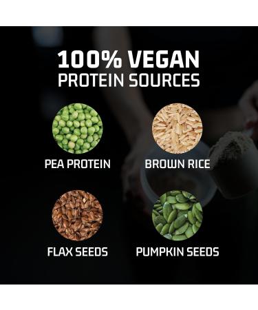Plan-tigo Clean Plant Protein Powder | No Preservatives | No Banned Substances | Super Protein Blend - Pea Brown Rice Flax |21SuperFoods| Vegan Protein For Men Women (Unsweetened Unflavored - 1kg) - Buy Online on GoSupps.com