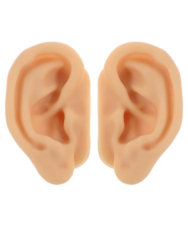 JHKNNK 1 Pair Silicone Ear Anatomy Model - Piercing Practice Realistic Fake Ear Model - Acupuncture Nursing Training Display Props for Classroom and Teaching Use