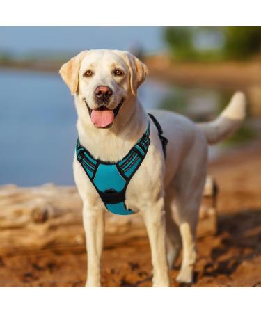 Rabbitgoo Medium Dog Harness - No Pull Adjustable Breathable Control Harness for Large Dogs - Safe & Comfortable with Reflex Stripes - Blue Green XL (1 Pack) - Buy Online on GoSupps.com