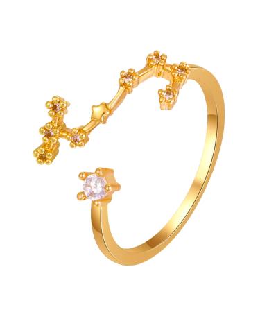 Soda sign 12 Constellation ring adjustable Horoscop collection birthday ring gift for women teen girls rings 16 (k one size)
