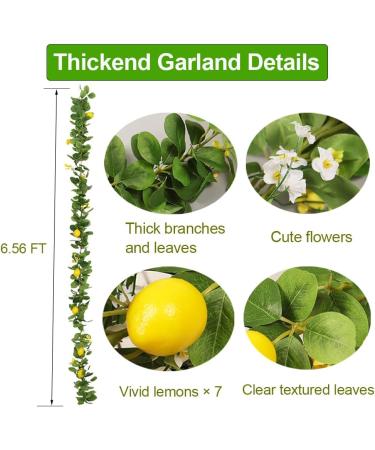 HamiFinee Lemon Garland (Thicker-Lemon) - Buy Online on GoSupps.com