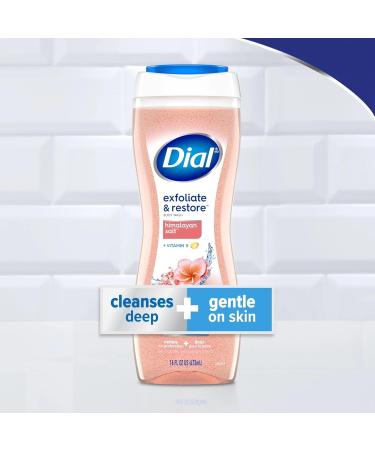 Dial Skin Therapy Replenishing Body Wash Himalayan Pink Salt & Water Lily 16 oz (Pack of 2) - Buy Online on GoSupps.com