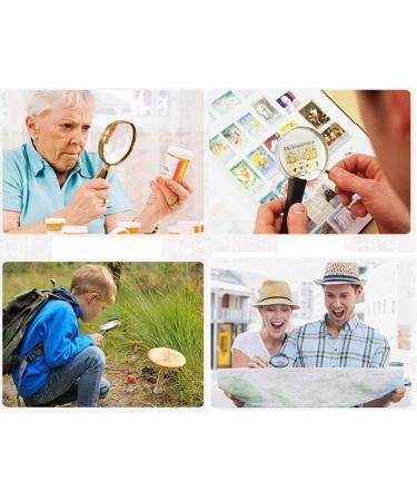 Handheld Magnifier Handle Magnifier Reading Magnifier Reading Book Check Coin Insect Rock Map Crossword Made in China - Buy Online on GoSupps.com