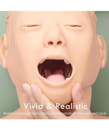 AYGJKIE Oral Nasal Intubation Trainer Manikin - Advanced Airway Management Simulator for Tracheal Intubation Training - Buy Online on GoSupps.com