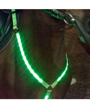 Dowoa LED Horse Harness - Robust & Comfortable Chest Strap for Safety | Best Visibility for Riding - Green - Buy Online on GoSupps.com