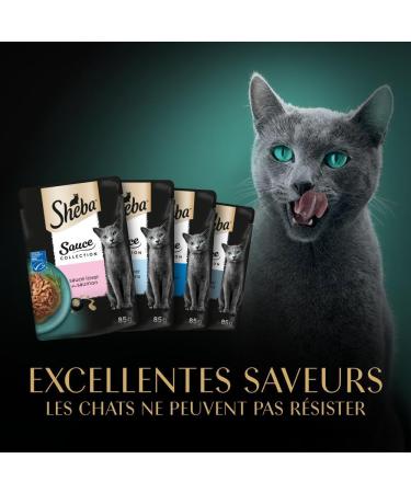 Sheba Sauce Collection Fresh Sachets Wet Food Fish Selection for Adult Cat 4 Varieties 40x85g - Buy Online on GoSupps.com