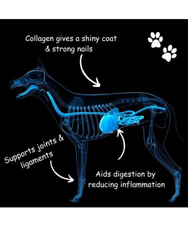 Boil and Broth Chicken Broth for Dogs | 100% Pure Protein Powder | Type II Collagen | British Free-Range Bones | Hip & Joint Support | Digestion & Gut Health | 120g Pack - Buy Online on GoSupps.com