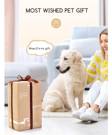 Automatic Cat Feeder  Faroro Dog Food Dispenser for Small Pets with Distribution Alarms  Portion Control  Voice Recorder and Programmable Timer for up to 4 Meals per Day - Buy Online on GoSupps.com
