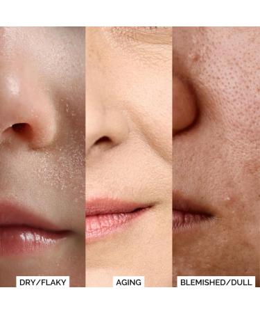 Elizabeth Mott Snail Mucin Face Serum - Deep Moisture Hydrating Skincare for Clear Skin 97% Snail Secretion Combats Dullness & Fine Lines Cruelty-Free 100ml - Buy Online on GoSupps.com