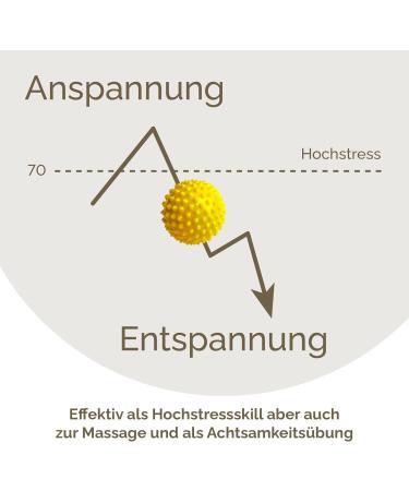 2x DBT Skills Hedgehog Ball - Magnetic Acupressure Stress Relief Massage Tool | Enhance Mobility & Concentration | 32mm Yellow Matt - Buy Online on GoSupps.com