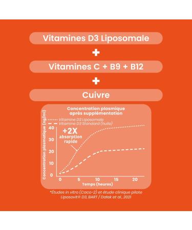 Santarome - Vitamine D3 Liposomale 2000 UI Immunit & Capital Osseux Avec Magn sium & Zinc Haute Assimilation Vegan Sans Gluten 2 mois Fabriqu en France - Buy Online on GoSupps.com