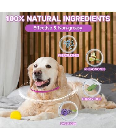 Shop Woyamay Calm Collar for Dogs - Adjustable Stress-Relief Collar with Pheromones | 60 Days of Action | Natural Solutions for All Sizes - Pink (2 Pack) - Buy Online on GoSupps.com