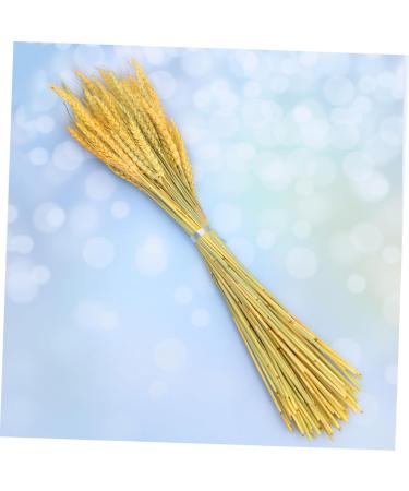 Warmhm 1 Rustic Decor Country Decor The Gift Home Accents Decor Handmade Wheat Dried Flowers Simulation Wheat Centerpieces Natural Blond Wheat Ears of Wheat Decorate Bouquet - Buy Online on GoSupps.com