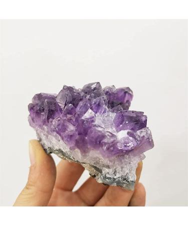 Amethyst Rough Stone 100-120g Natural Amethyst Clusters The Earth Clusters 2pc Amethyst Teeth Stone Mineral Specimen - Buy Online on GoSupps.com