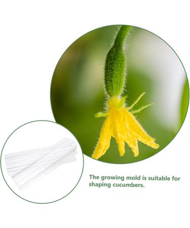 Milisten Horticulture 3pcs Vegetable Shaping Mold Strawberry Garden Tools Cucumber Molds As Shown 20x6cm - Buy Online on GoSupps.com