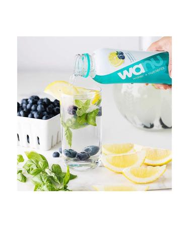 Wanu Water Prebiotic Fiber & Nutrient Infused Flavored Water Variety Pack, 16oz Bottles (Pack of 12) - Assorted Flavors - Buy Online on GoSupps.com