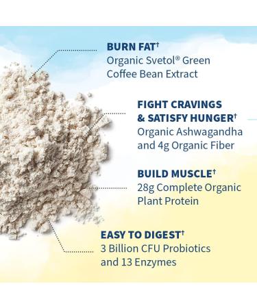 Garden of Life RAW Organic Fit High Protein for Weight Loss Vanilla 16.1 oz (457 g) - Buy Online on GoSupps.com