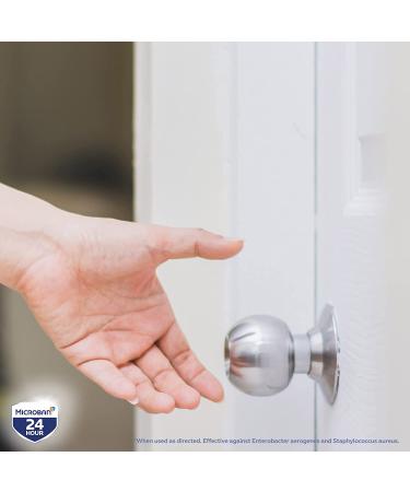 Microban 24-Hour Unscented Disinfectant Spray - 2 Pack (15 fl oz Each) - Buy Online on GoSupps.com