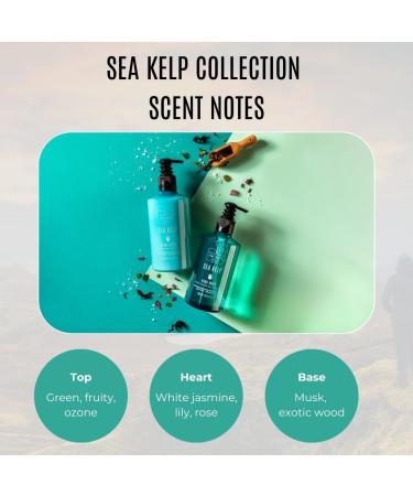 Scottish Fine Soaps - Marine Spa Sea Kelp Replenishing Shower Cream - Enriched With Soya Oil and Vitamin E - For Healthy and Rehydrated Skin - Vegan Friendly - 200ml - Buy Online on GoSupps.com