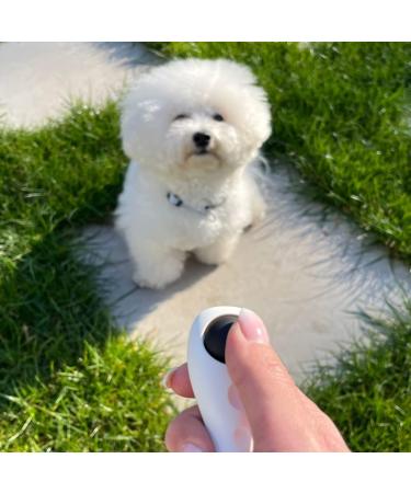 Belffy Premium Clicker for Cats & Dogs | Lightweight Unique Pet Training Tool with Wrist Loop - Effective Training for Kittens & Puppies (White) - Buy Online on GoSupps.com