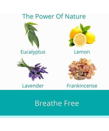 Essential Oil Aromatherapy Inhaler Bundle. Organic Oils. Curb Snacking Promote Energy Sleep Better and Breathe Easy with These Blends. - Buy Online on GoSupps.com
